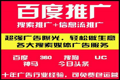 SEO百度推广策略：成功案例解析